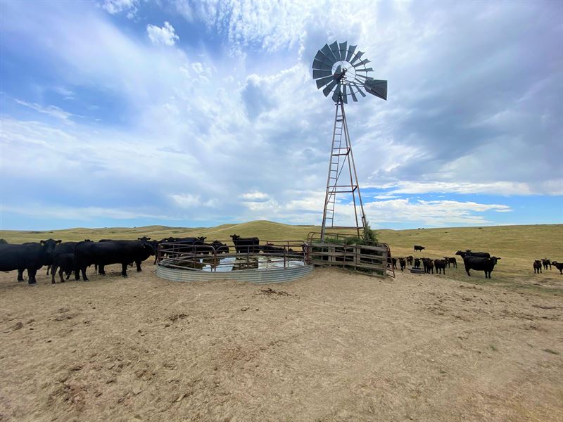 McConaughy Muledeer Lakeview Ranch, Farm for Sale in Nebraska, 225460