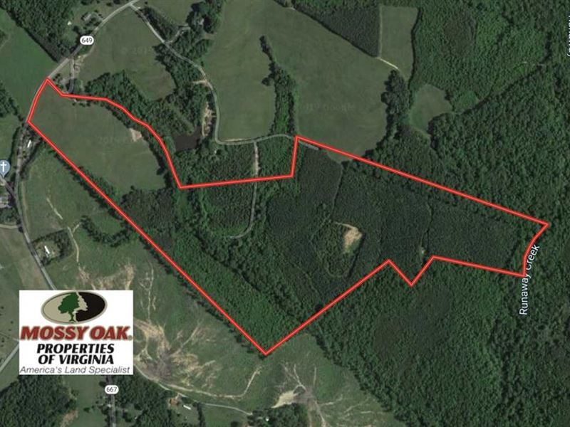 100 Acres of Hunting Land for Sale, Farm for Sale in Virginia, 225589