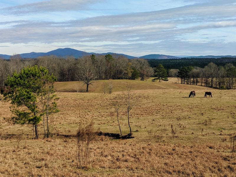 105+/ Acres Pastureland Alpine, AL, Farm for Sale in Alabama, 225598