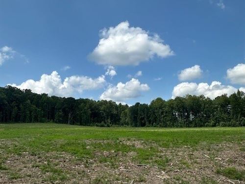 15.85 Acres Partially Wooded Acr : Tracy City : Marion County : Tennessee