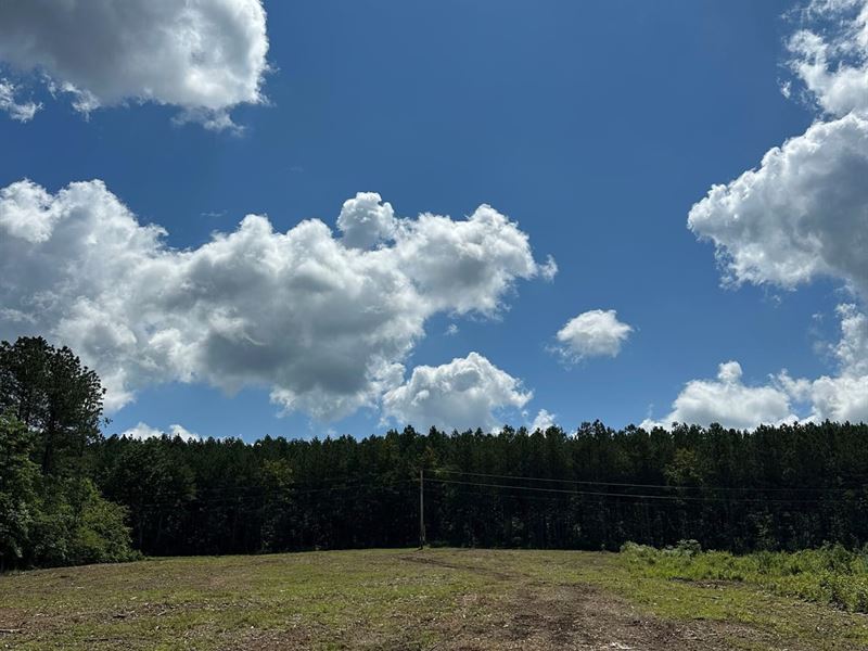15.85 Acres Partially Wooded Acr : Tracy City : Marion County : Tennessee