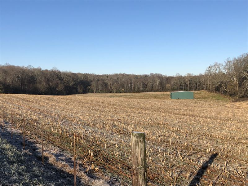 Townville Farm & Crop Land 2, Farm for Sale in South Carolina, 225642
