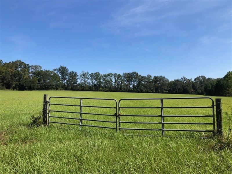 Land for Sale in North Florida : Monticello : Jefferson County : Florida