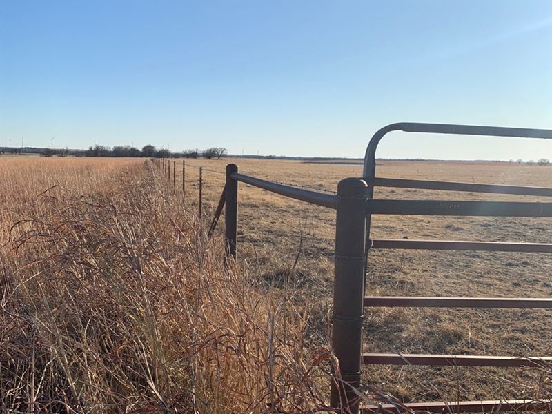 Land Grass, Cultivated Equine, Farm for Sale in Oklahoma, 225870 FARMFLIP