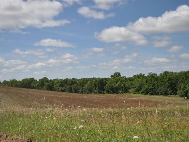 Gentry CO MO 40 Ac Row Crop Farm for Sale in Stanberry, Gentry County