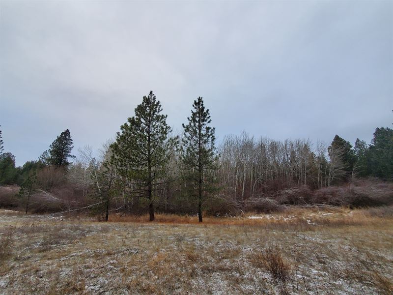 Amazing Fruitland, WA 40 Acres, Farm for Sale in Washington, 226282