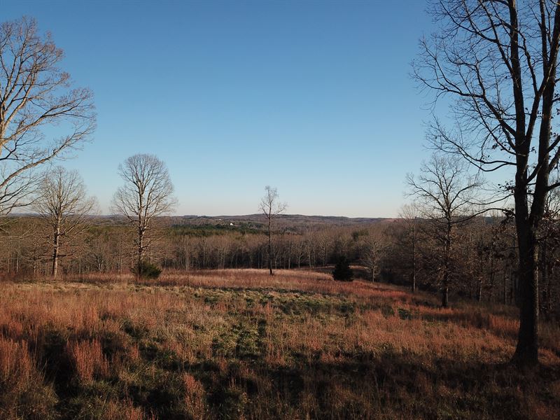 Land For Sale By Owner Landrum Sc / Landrum Real Estate - Landrum SC Homes For Sale | Zillow - 501 redland rd, landrum, sc 29356view this property at 501 redland rd, landrum, sc 29356.