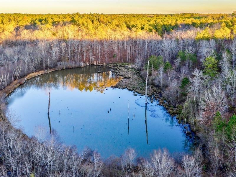 Mallard Lodge at Buck Creek, Farm for Sale in 226366 FARMFLIP