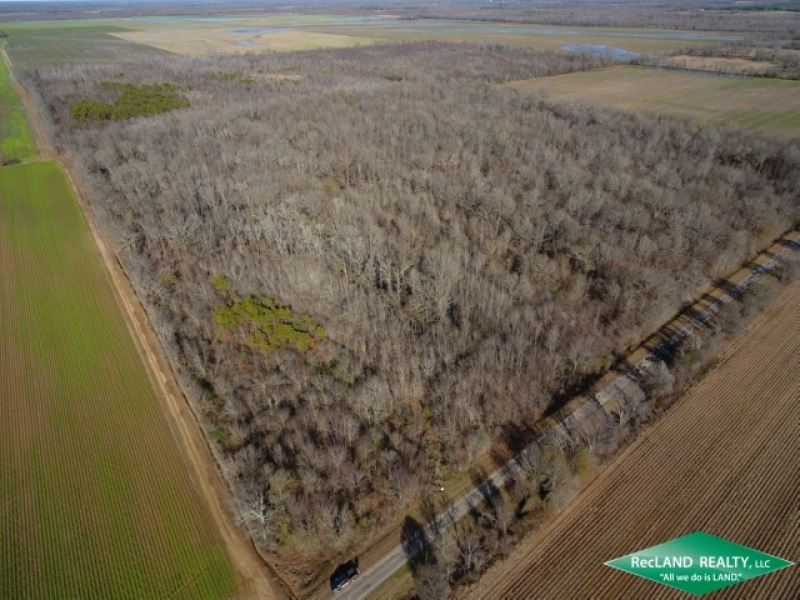40 Ac, Hunting Tract with Great Ac : Epps : West Carroll Parish : Louisiana