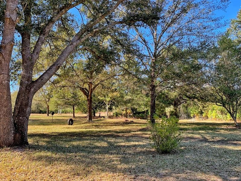 Otter Creek Florida Hunting, Farm for Sale in Florida, 226469 FARMFLIP