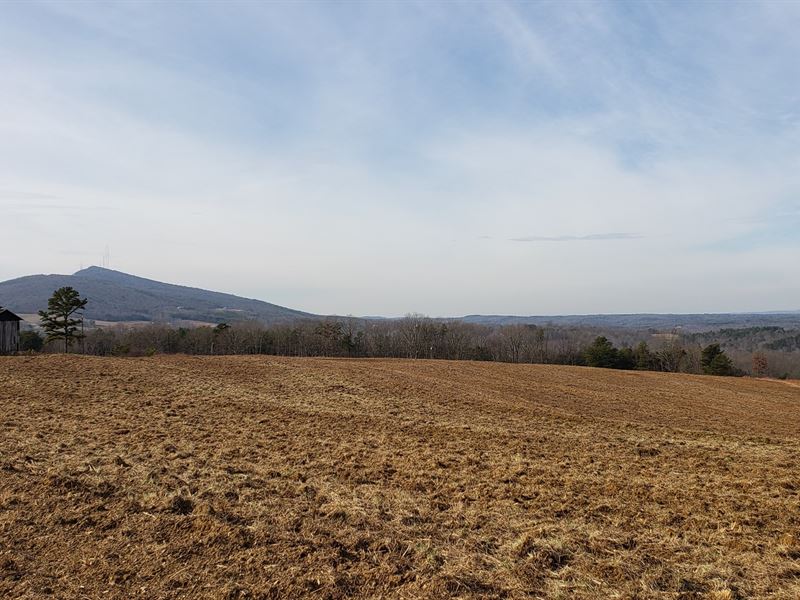 Westfield Land for Sale : Mount Airy : Stokes County : North Carolina