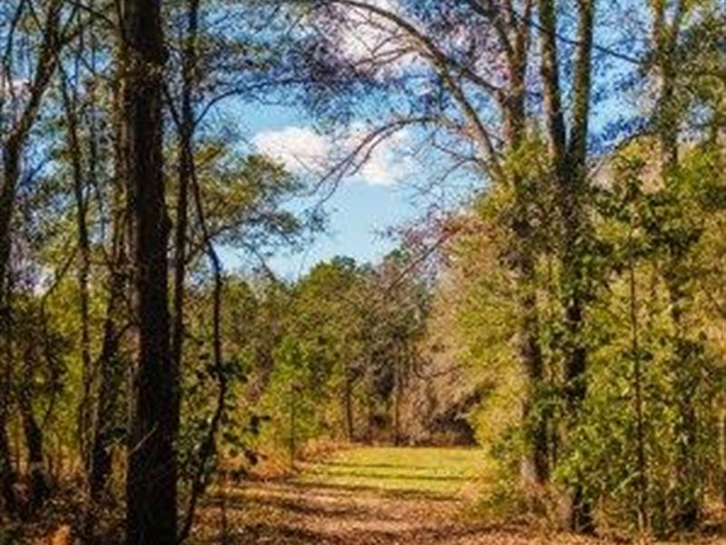 Belcher Branch Farm for Sale in Statesboro, Bulloch County,