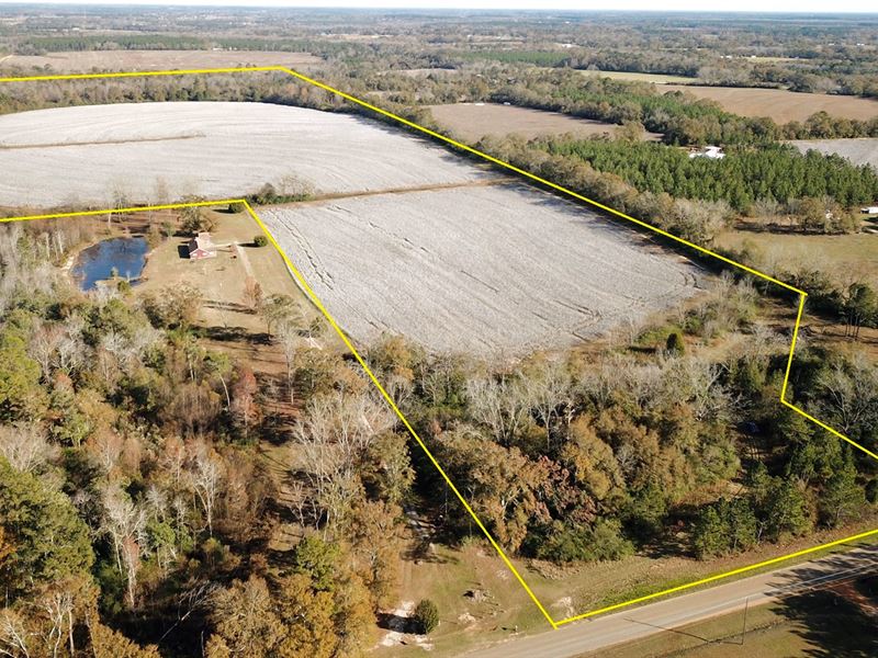 Farm Land, Malvern Alabama, Farm for Sale in Alabama, 226538