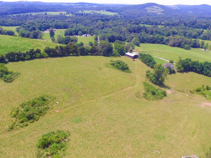 Fenced Cattle Farm Liberty Kentucky Farm for Sale in Bethelridge