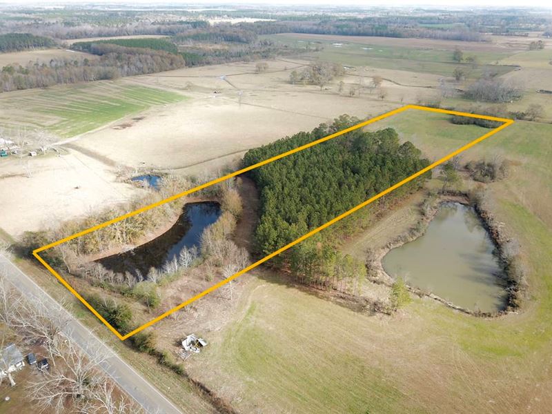 Home Site, Land Alabama Farm for Sale in Geneva