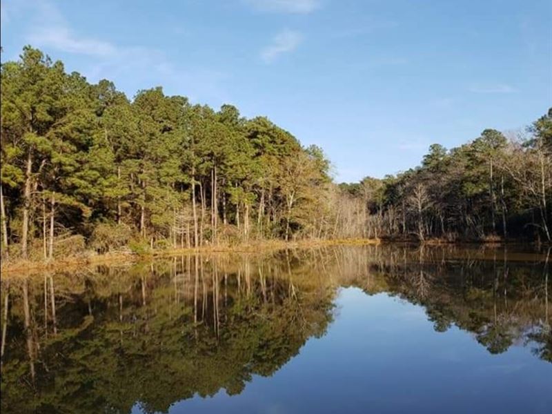 13 Acres Land Daleville, Alabama Farm for Sale in Daleville, Dale
