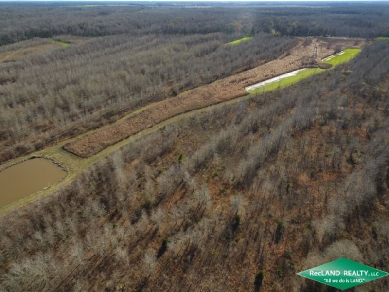 246 Ac, Premium Hunting Tract : Saint Joseph : Tensas Parish : Louisiana