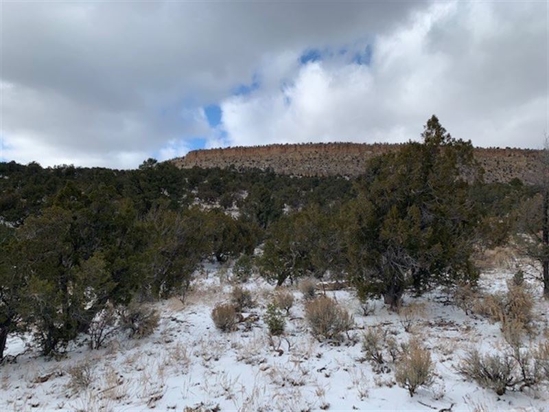 Northern New Mexico Hunting, Farm for Sale in New Mexico, 226936 Buy