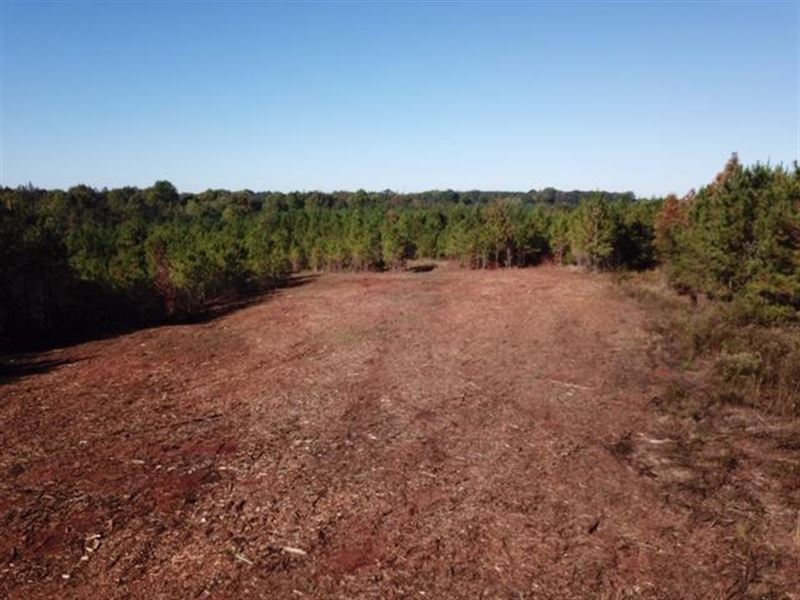 10.8 Acres Vineyard Creek Estates : Auburn : Lee County : Alabama
