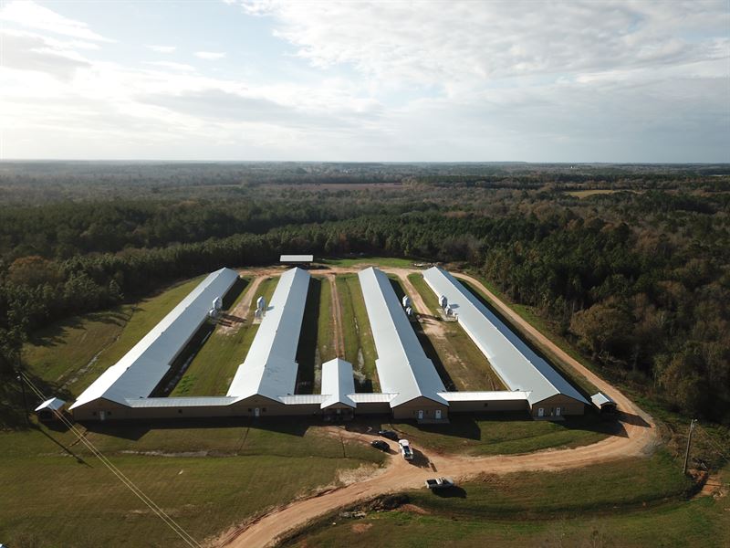 Triple B Farm, 4 House Breeder Farm, Farm for Sale in Alabama, 226984