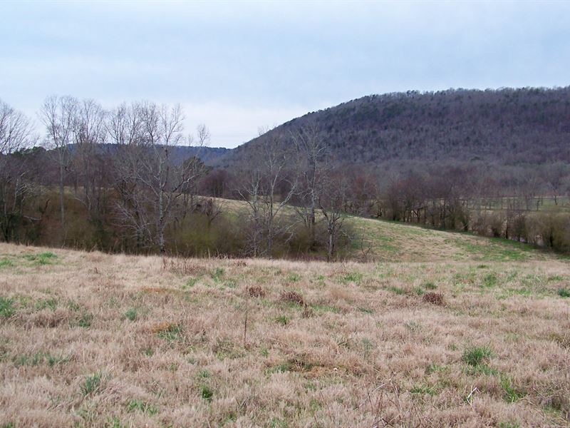 32 +/ Acres With Pond and View Farm for Sale in Boaz, Etowah County