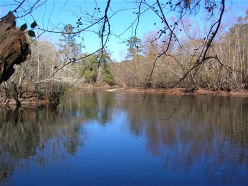71 Acres on Big Satilla River, Farm for Sale in 227088 FARMFLIP