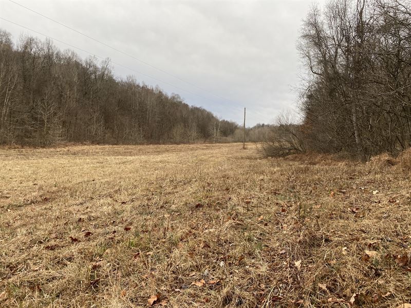 947 Acres of River Front, Farm for Sale in Kentucky, 227103 FARMFLIP