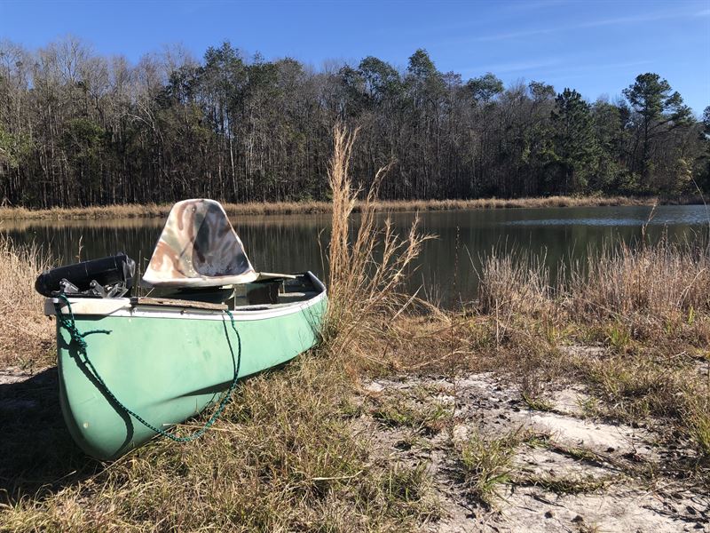 Cherry Creek Retreat Farm for Sale in Valdosta, Lowndes County