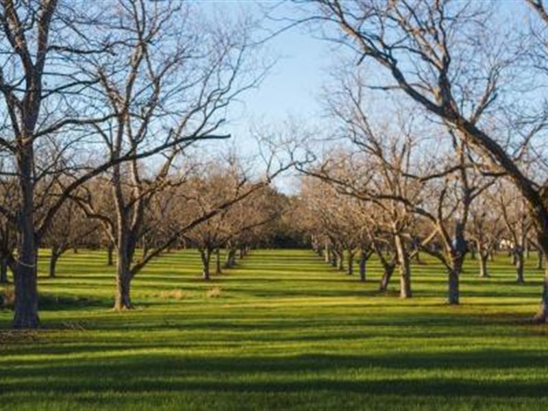 Pecan Grove, Farm for Sale in 227383 FARMFLIP