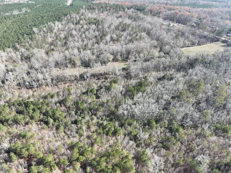 93 Ac Timber/Residential/Hunting Tr : Roopville : Heard County : Georgia