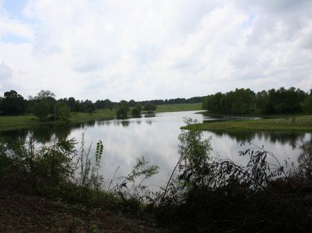 158 Acres Lake, Pasture and Timber : Forest : Scott County : Mississippi
