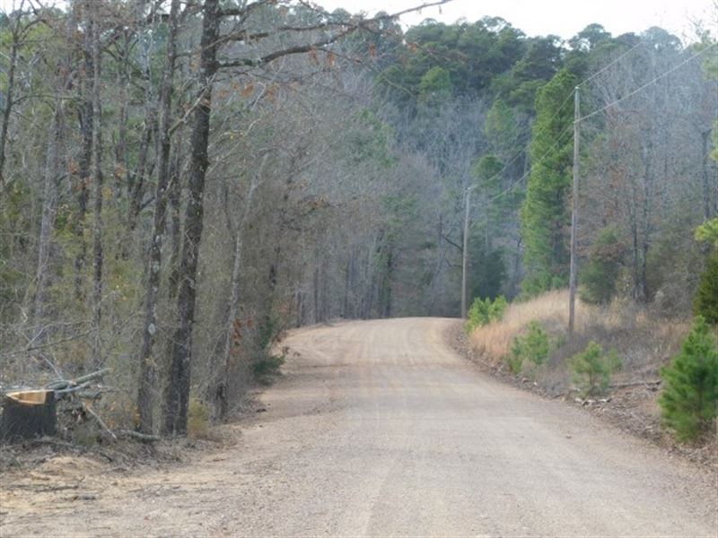 Oklahoma Recreational Hunting Land : Hodgen : Le Flore County : Oklahoma