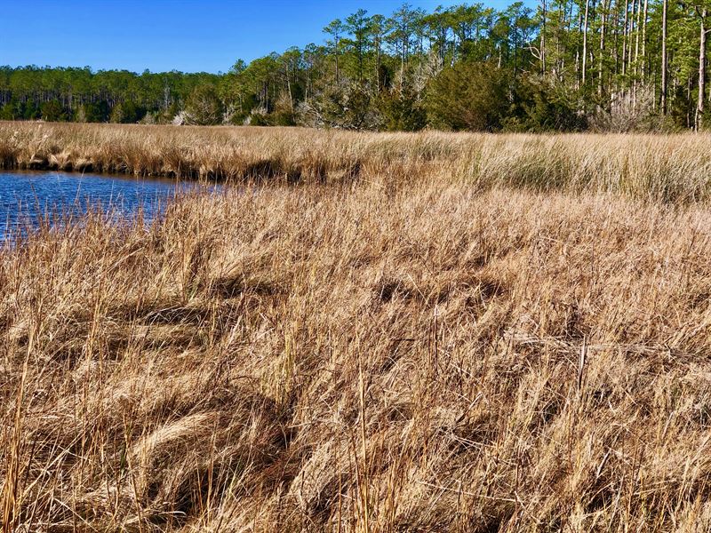 Recreational Tract, Hyde County, NC : Scranton : Hyde County : North Carolina