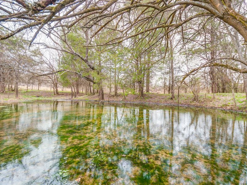 181 Acre Hunting Property, Farm for Sale in Tennessee, 227695 FARMFLIP