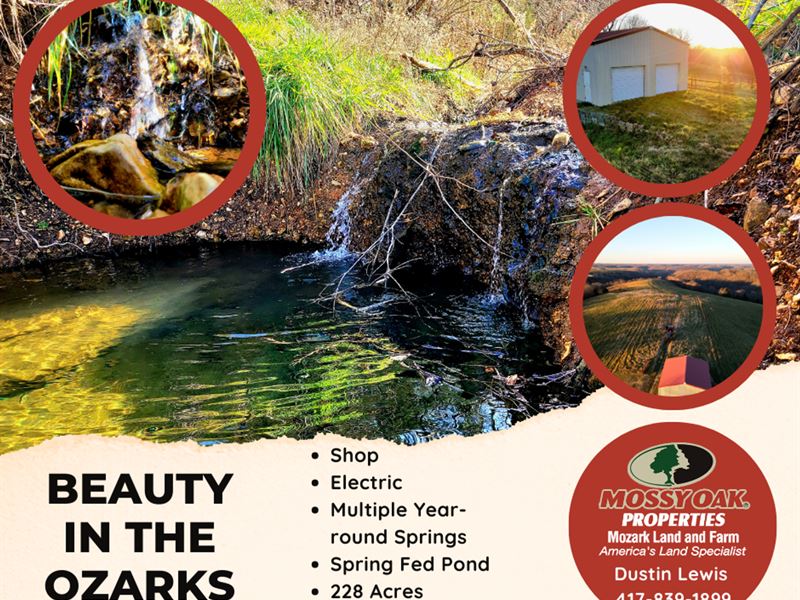 Beauty in The Ozarks : Reeds Spring : Stone County : Missouri