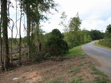 85 Acres Development Potential : Forest : Scott County : Mississippi