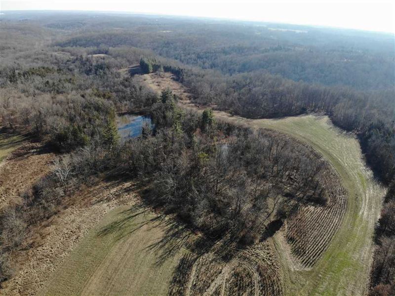 Deer Farm, Land for Sale 211 Acres, Farm for Sale in Indiana, 227736