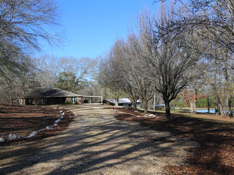 Beautiful Country Home with Pond, Farm for Sale in Alabama, 227983
