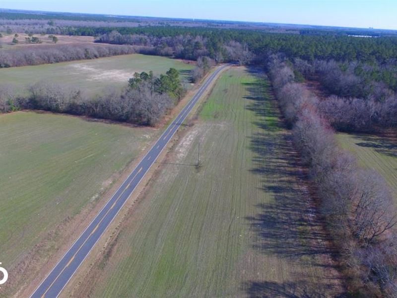 Log Cabin Road Homesite Farm for Sale in Laurinburg, Scotland County, North Carolina 228189