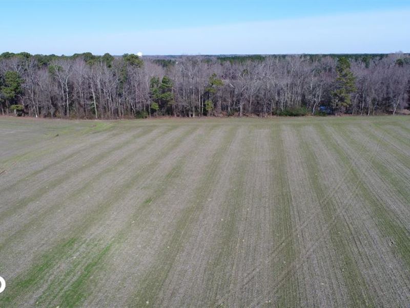 Union Grove Church Road MiniFarm, Farm for Sale in North Carolina