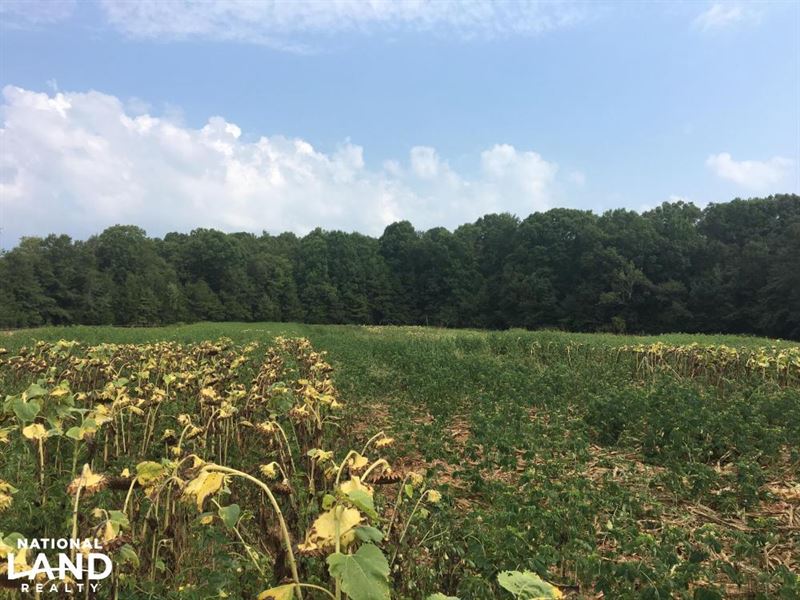 Hogskin Hunt Club Share : Honea Path : Abbeville County : South Carolina