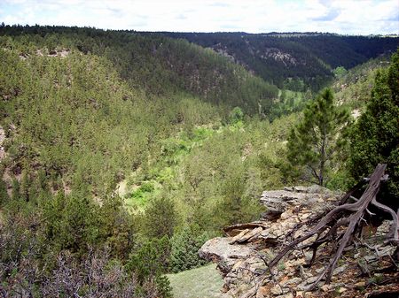 Cave Springs Ranch : Newcastle : Weston County : Wyoming
