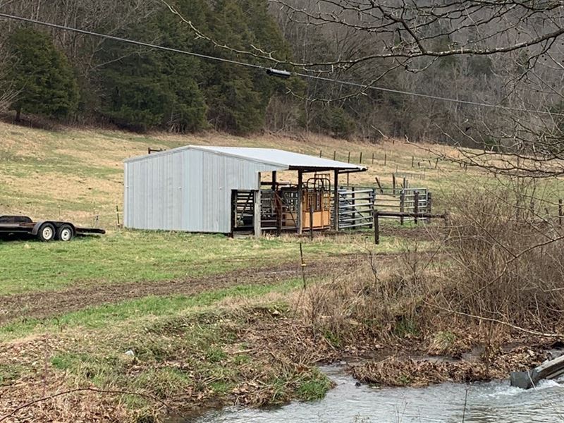 Land/Farm, Burkesville, Kentucky Farm for Sale in Burkesville