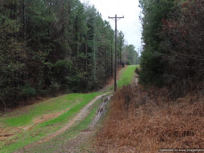 37 Ac Property with Running Creek : Crystal Springs : Copiah County : Mississippi