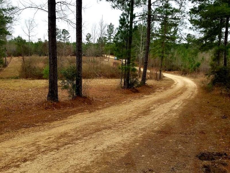 Great Hunting Or Residential Tract : Gloster : Amite County : Mississippi