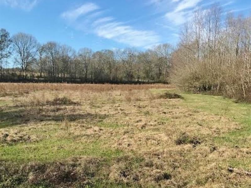 157 Acres Land For Sale Kentwood Farm for Sale in Kentwood