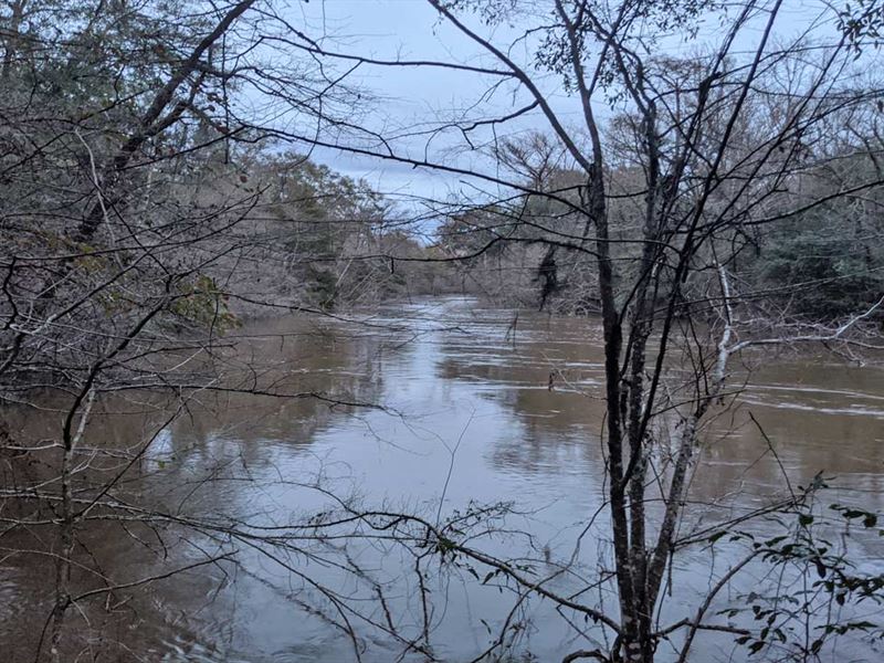Broadhead Creek Landing : Goshen : Pike County : Alabama