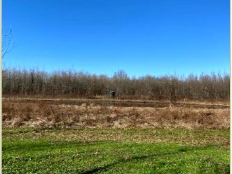 93 Acres in Bolivar County in Mound, Farm for Sale in Mississippi