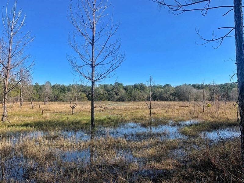 Winding River Preserve, Acreage, Farm for Sale in Florida, 228991