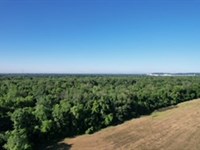 Land For Sale in Spencer County : Rockport : Spencer County : Indiana